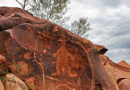 IgluCruise.Application.ViewModels.Shared.WebImageViewModel?.Description