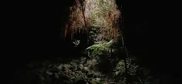 Image related to Kaumana Caves