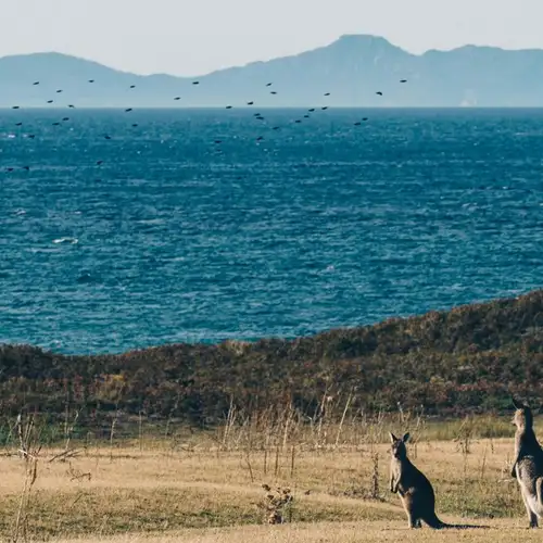 Image related to Kangaroo Island