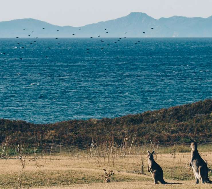 Kangaroo Island