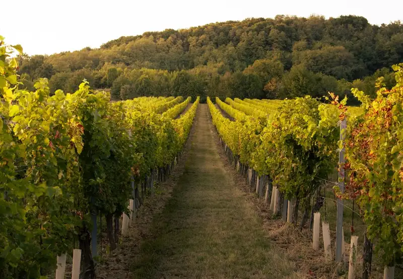 Wineries