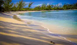 Image related to Image related to Beach Clamshell