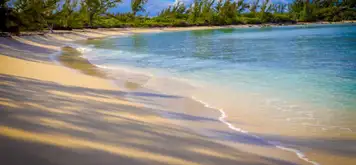 Image related to Image related to Beach Clamshell