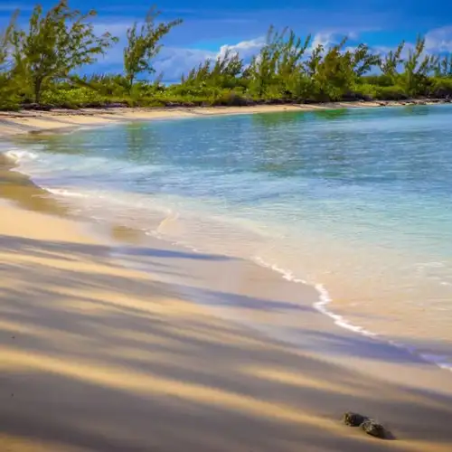 Image related to Beach Clamshell