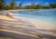 Beach Clamshell