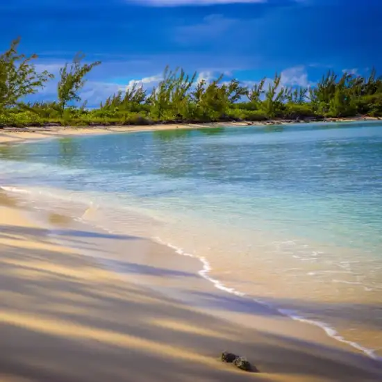 Beach Clamshell