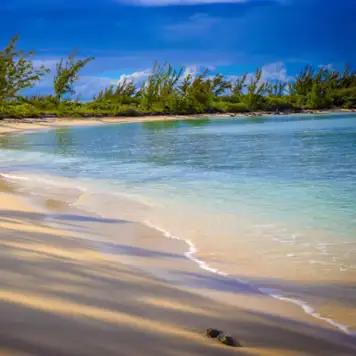 Image related to Beach Clamshell