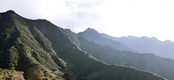 Image related to Rural de Anaga Park Santa Cruz Tenerife Spain