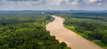 Image related to Kinabatangan to Menanggul River Cruising