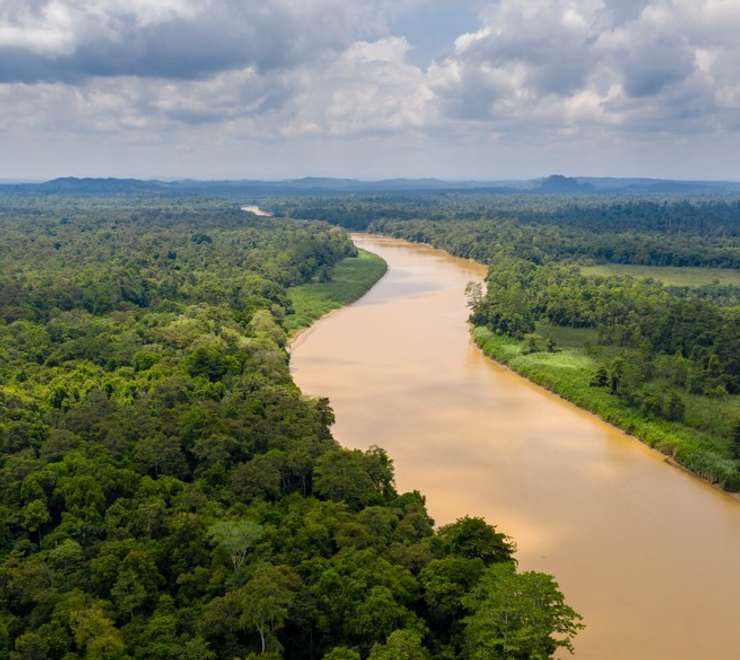 Kinabatangan to Menanggul River Cruising