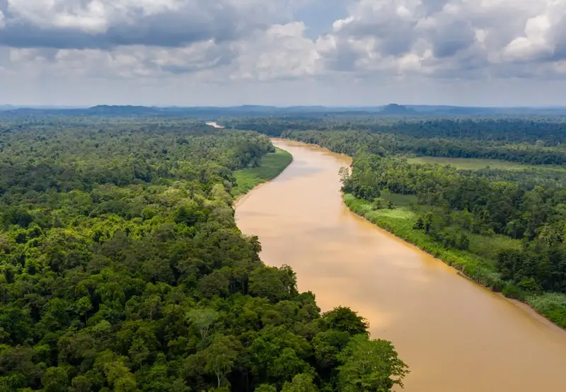 Kinabatangan to Menanggul River Cruising