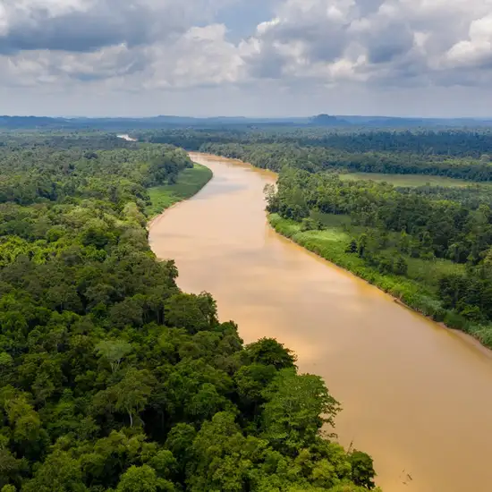 Image related to Kinabatangan to Menanggul River Cruising