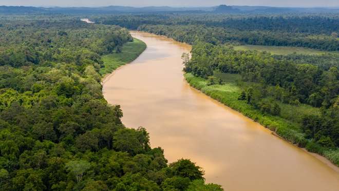 River Cruise from Kinabatangan to Menanggul River