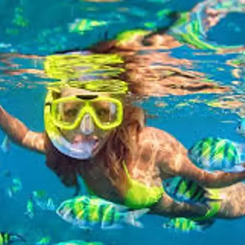 Image related to Enjoy Pristine Snorkeling