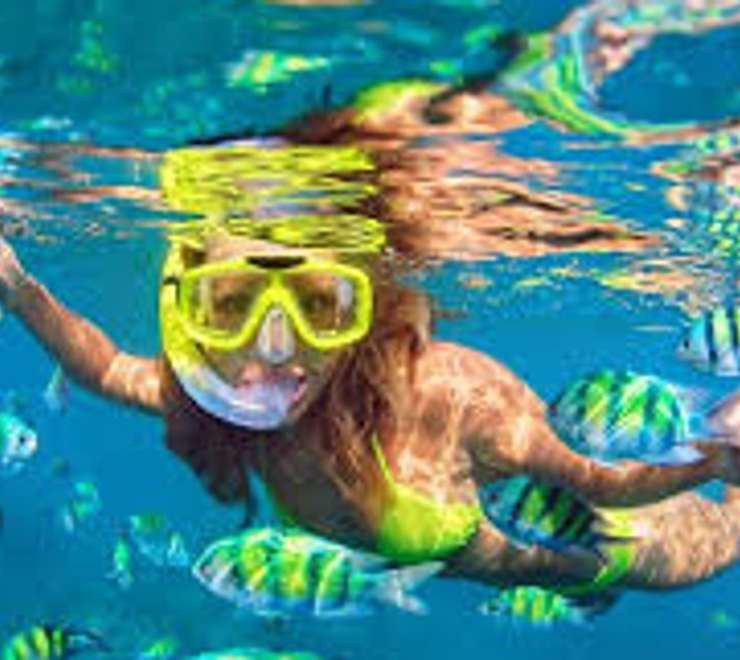 Enjoy Pristine Snorkeling