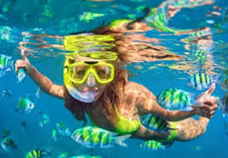 Enjoy Pristine Snorkeling