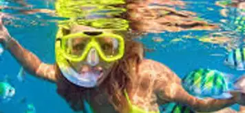 Image related to Enjoy Pristine Snorkeling