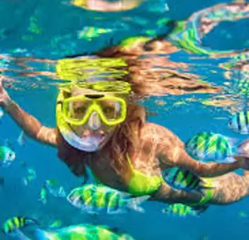 Image related to Enjoy Pristine Snorkeling