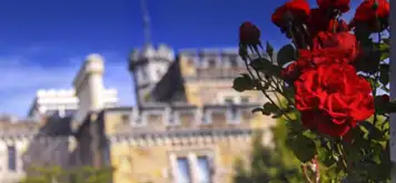 Image related to Larnach Catle & Wildlife