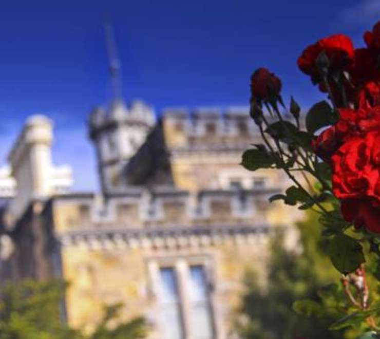 Larnach Catle & Wildlife