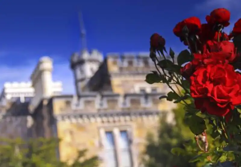 Larnach Catle & Wildlife