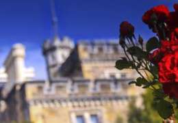 IgluCruise.Application.ViewModels.Shared.WebImageViewModel?.Description