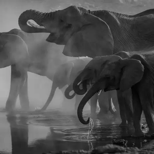 Image related to Lombok Wildlife Park