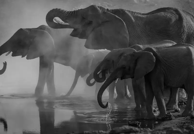 Image related to Lombok Wildlife Park