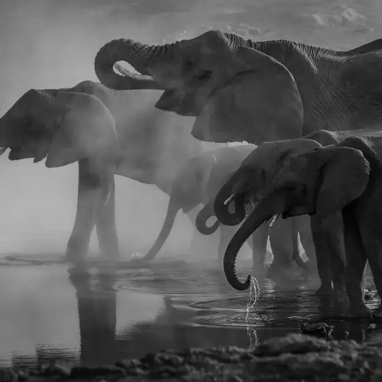 Image related to Lombok Wildlife Park