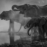 Image related to Lombok Wildlife Park