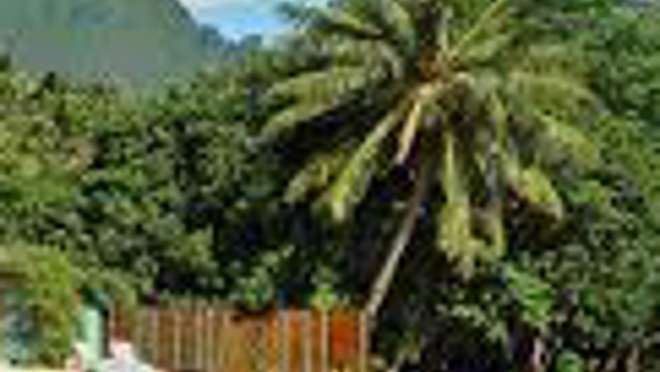 Opunohu Bay, Moorea