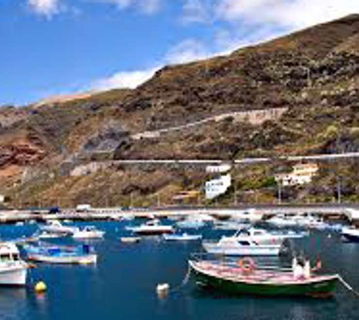 Enjoy a Marina Stroll