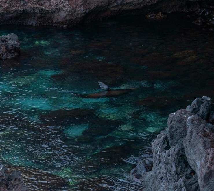 Walk the Nature Trail