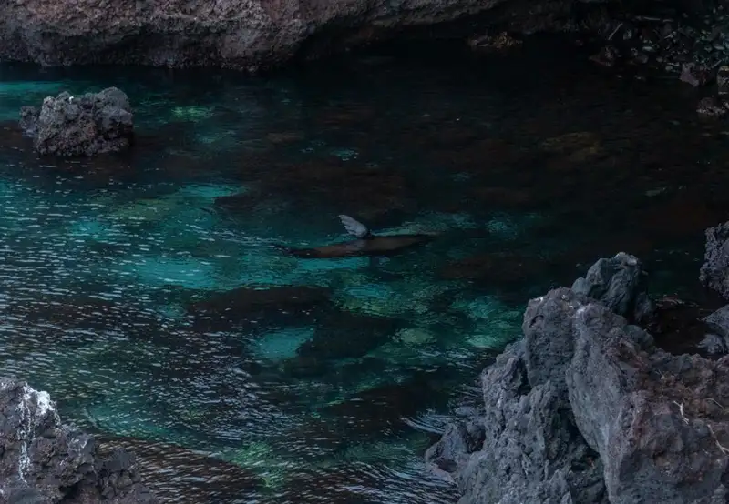 Walk the Nature Trail