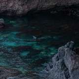 Image related to Walk the Nature Trail