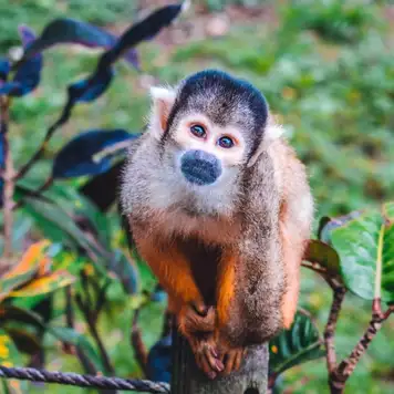 Image related to Banna Park