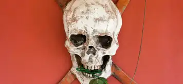 Image related to Image related to The Rusty Parrot 