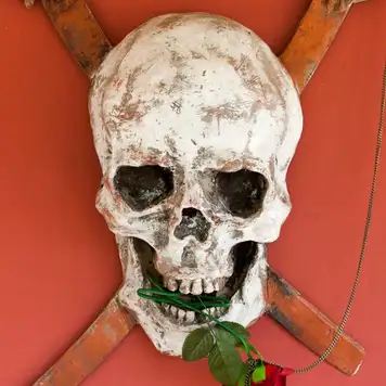 Image related to The Rusty Parrot 