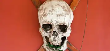 Image related to The Rusty Parrot 