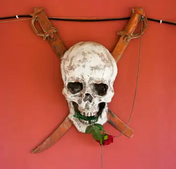 Image related to The Rusty Parrot 