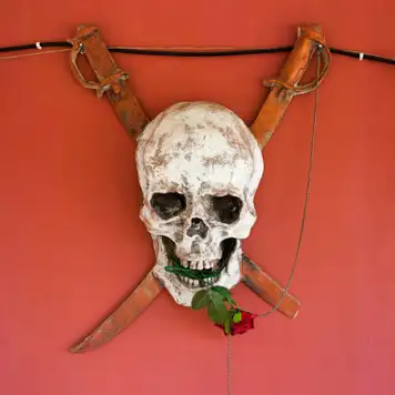 Image related to The Rusty Parrot 