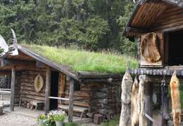 IgluCruise.Application.ViewModels.Shared.WebImageViewModel?.Description