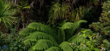 Image related to Parque Natural Faro