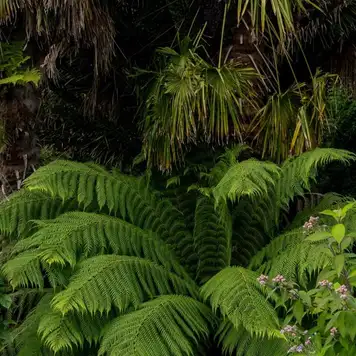 Image related to Parque Natural Faro