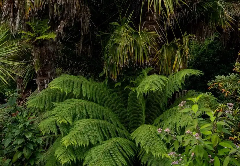 Parque Natural Faro