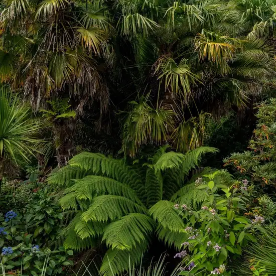 Image related to Parque Natural Faro