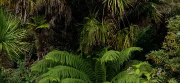 Image related to Parque Natural Faro