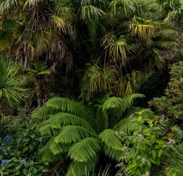 Image related to Parque Natural Faro