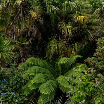 Image related to Parque Natural Faro