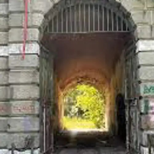 Image related to Discover Forte Tron